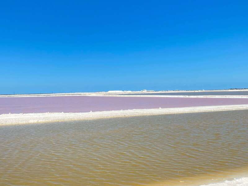 Río Lagartos and Las Coloradas: Wildlife Natural Experience - Best timing and best type of visitor