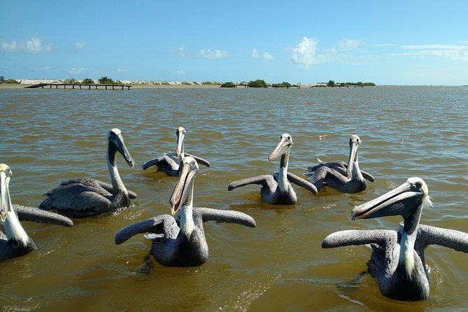 Rio Lagartos guided boat tour- Ek Balam from Valladolid - Is $198 a fair price?