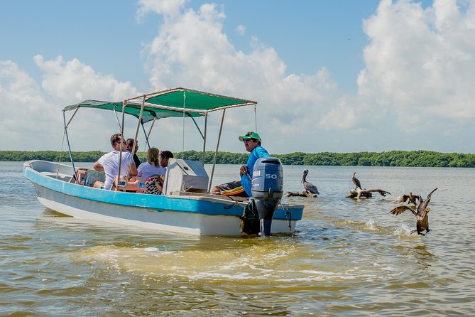 Rio Lagartos guided boat tour- Ek Balam from Valladolid - Who will enjoy this tour most?
