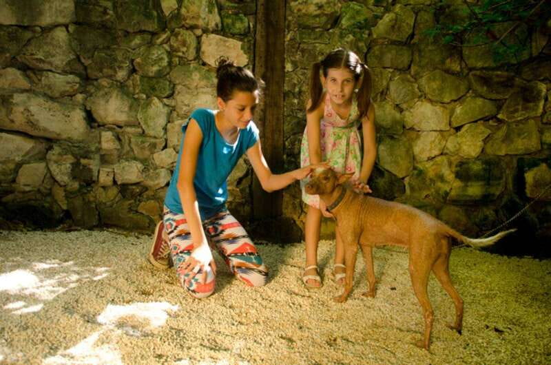Riviera Maya: Croco Cun Interactive Zoo Tour - Key Points at a Glance