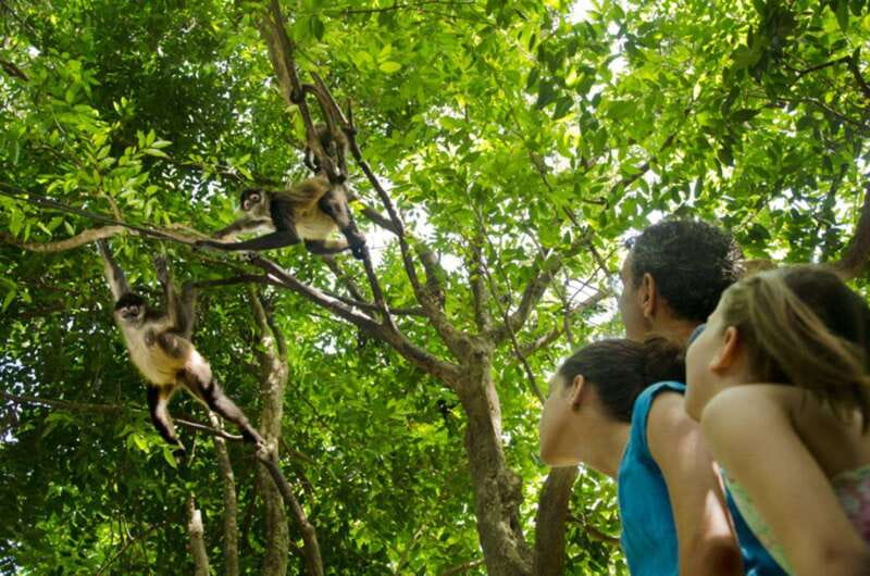 Riviera Maya: Croco Cun Interactive Zoo Tour - What the One-Hour Croco Cun Visit Feels Like