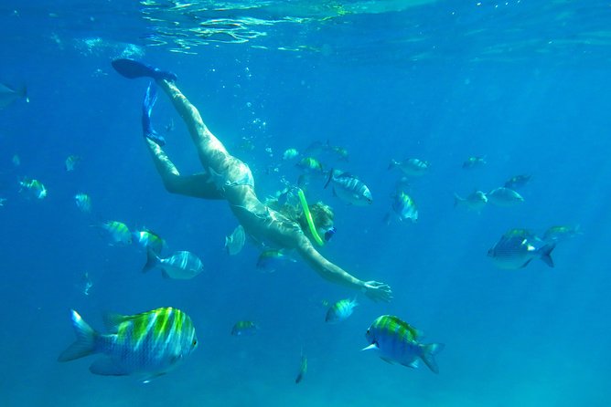 Riviera Maya Luxury Snorkeling Cruise with Lunch and Drinks - The crew and the feel onboard
