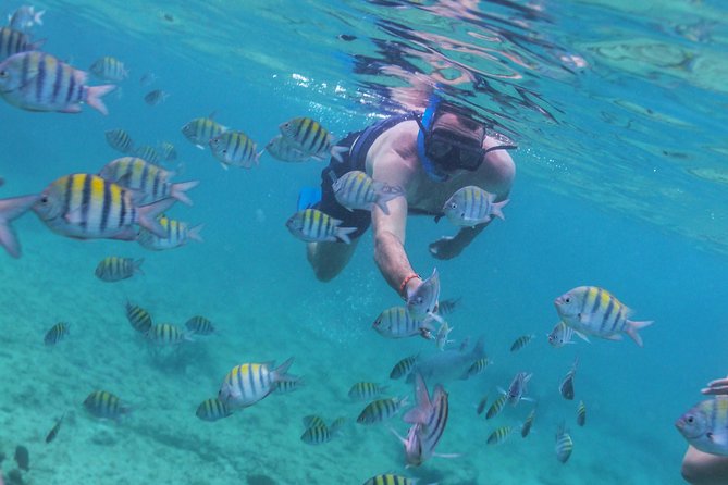 Riviera Maya Luxury Snorkeling Cruise with Lunch and Drinks - Price and value at $139