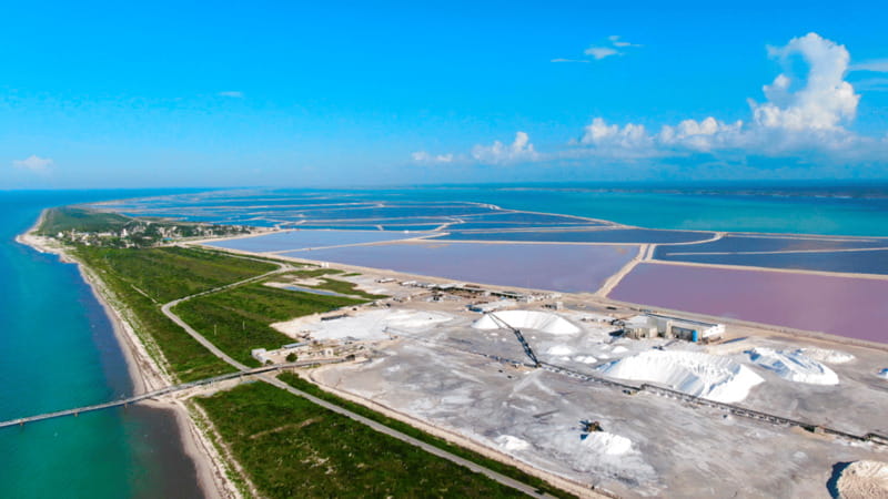 Riviera Maya: Rio Lagartos & Las Coloradas Day Trip w/Lunch - Lunch in Río Lagartos is more than a filler stop