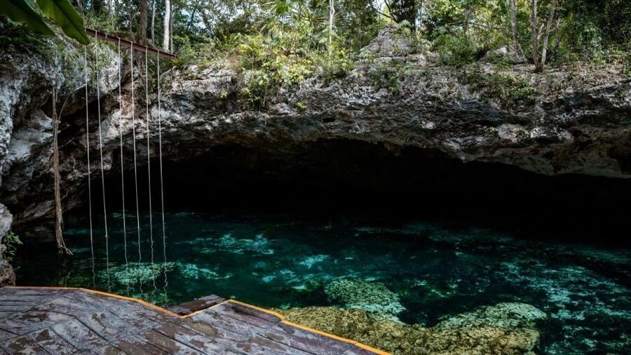 Riviera Maya: Tulum Ruins and 2 Cenotes Half-Day Tour - Guide quality and the language of the tour