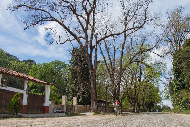 San Sebastian del Oeste - The old hacienda and a memorable film connection