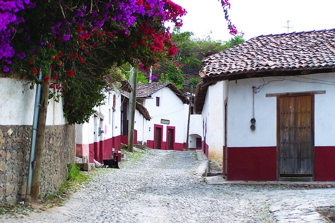San Sebastian Tour - Why Leave Puerto Vallarta for San Sebastian?