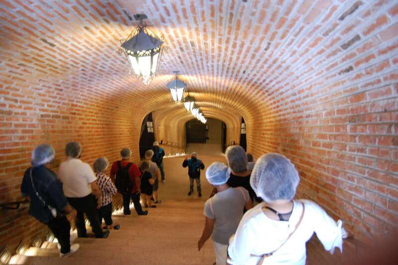 Santiago de Querétaro: Pueblos Mágicos Cheese and Wine Route - Fourteen cheeses and two wines from Querétaro