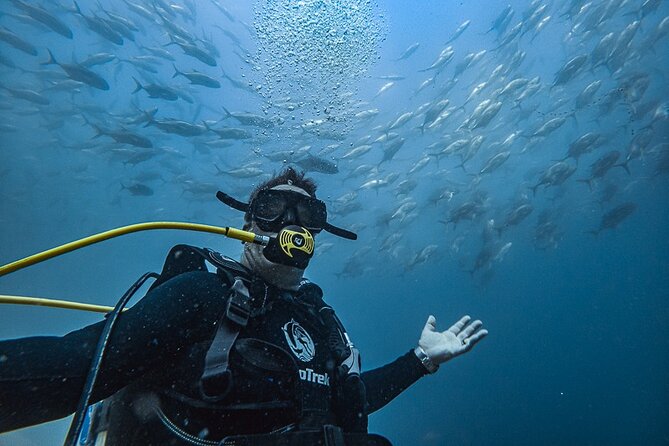 Scuba Diving - Key details before you book
