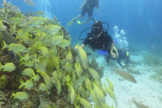 Scuba Diving (1st time) in Cancun Beginner's WELCOMED! - How Safe and Easy Is It for a First-Timer?