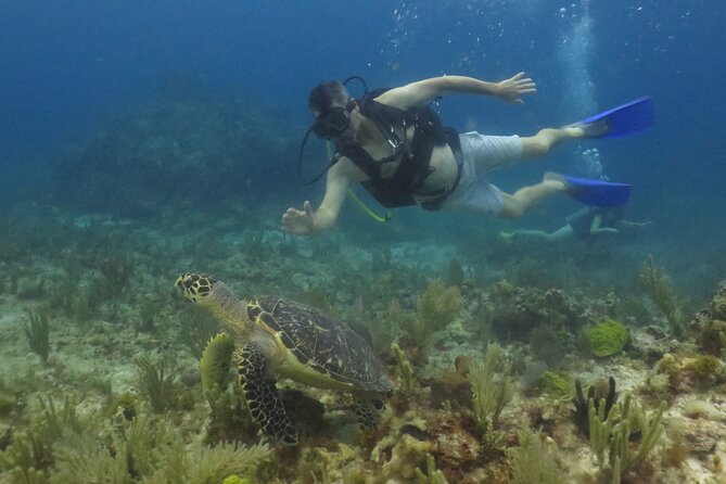 Scuba Diving (1st time) in Cancun Beginner's WELCOMED! - What the Five-and-a-Half Hours Include