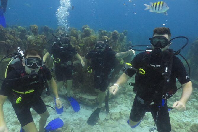 Scuba Diving (1st time) in Cancun Beginner's WELCOMED! - The Real Price: Add the Fees Before You Compare
