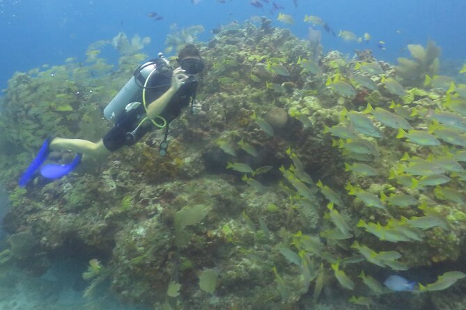 Scuba Diving (1st time) in Cancun Beginner's WELCOMED! - Practical Tips for a More Comfortable Morning