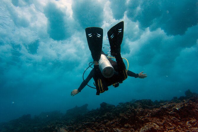 Scuba Diving (1st time) in Cancun Beginner's WELCOMED! - The Mesoamerican Reef in Cancun’s Bay