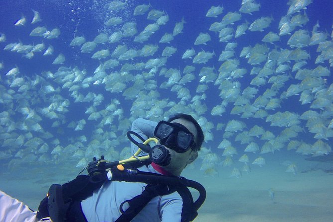Scuba Diving - Who will get the most from this trip