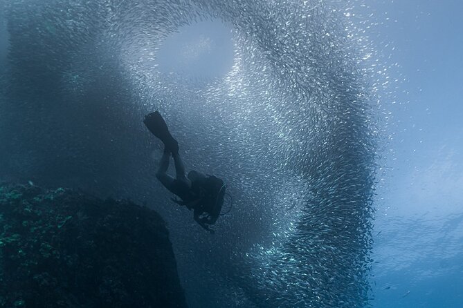 Scuba Diving - Should you book Cabo Trek?