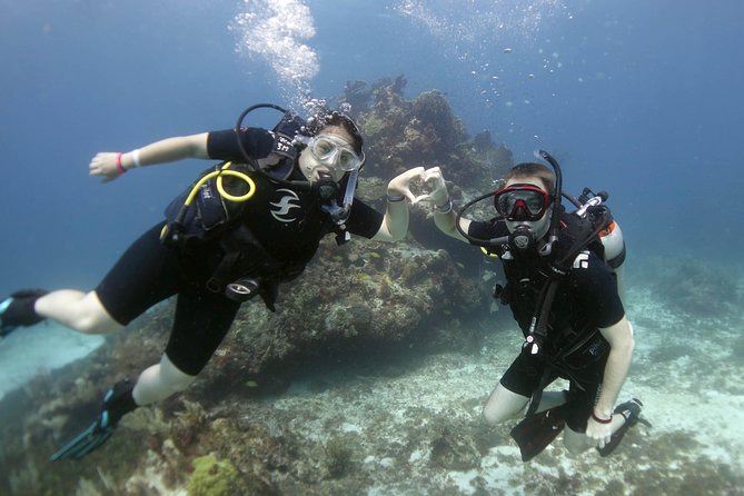 Scuba diving at MUSA the underwater museum for certified divers - Certified divers should check their comfort level