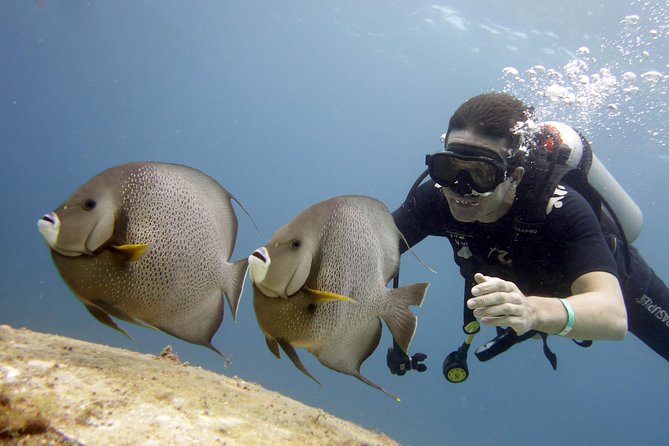 Scuba diving at MUSA the underwater museum for certified divers - Who will enjoy this Isla Mujeres outing most