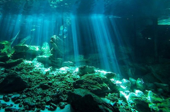 Scuba Diving in Cenote Dos Ojos from Playa del Carmen - Surface time and the meal afterward