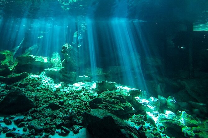 Scuba Diving in Cenote Dos Ojos from Playa del Carmen - Setting up the gear at Dos Ojos