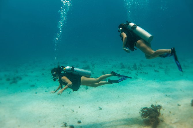 Scuba Diving in Cozumel Island - Two underwater sessions, each up to 60 minutes