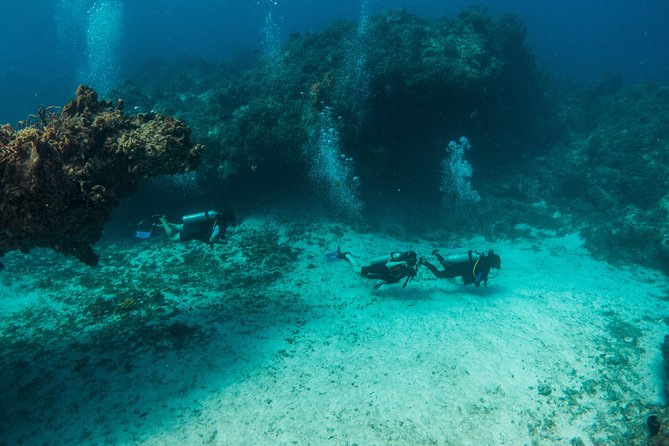 Scuba Diving in Cozumel Island - The boat return and open ferry ticket