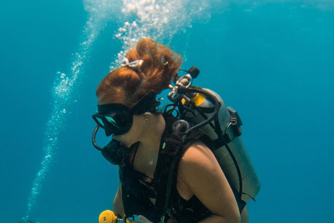 Scuba Diving in Cozumel Island - What the $220 price really buys
