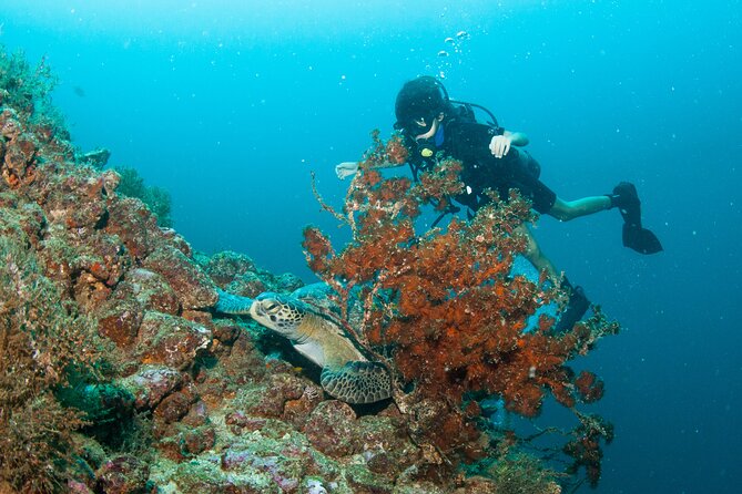 Scuba Diving Puerto Vallarta Undersea Arcos or Marietas - Getting ready with Eric, Carlos, or Nahum