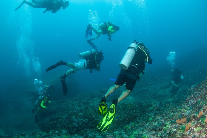 Scuba Diving Puerto Vallarta Undersea Arcos or Marietas - What the $125 price really covers