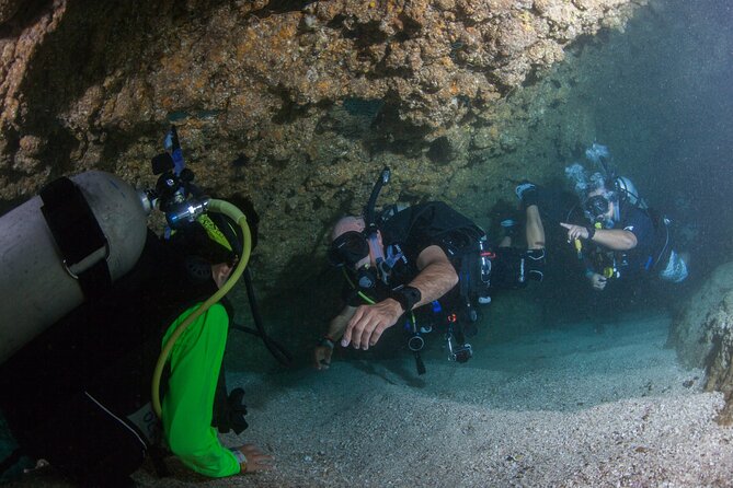 Scuba Diving Puerto Vallarta Undersea Arcos or Marietas - Wildlife, visibility, and the luck factor