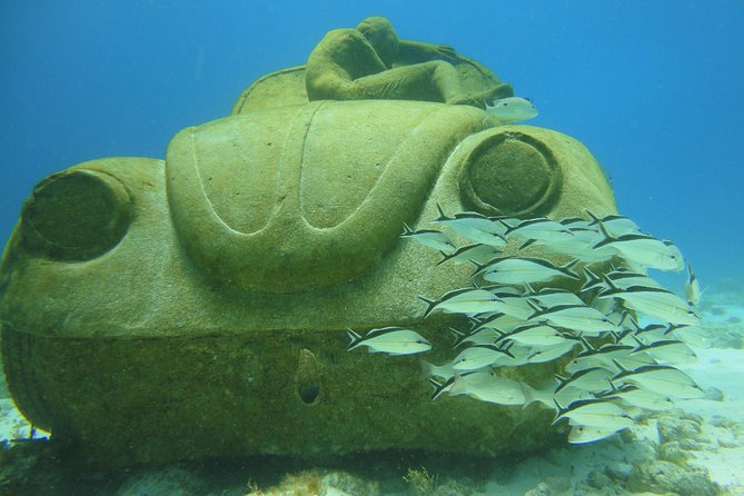 Scuba Diving Under Water Museum and Reef for beginners - The morning begins at Coconut Divers Cancun