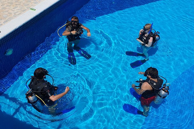 Scuba Diving Under Water Museum and Reef for beginners - Two open-water descents, two different settings
