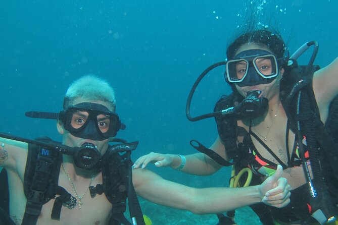 Scuba Diving Under Water Museum and Reef for beginners - Is $119 a fair price?