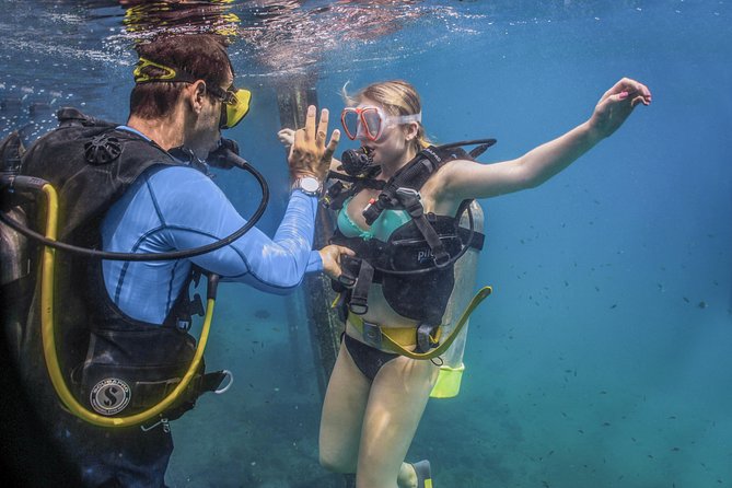 Scuba Diving with a 5-Star PADI Center in Puerto Vallarta - What the $119 price really covers