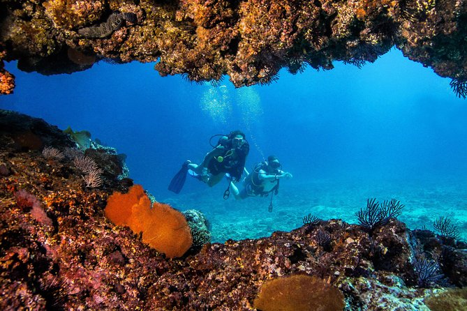 Scuba Diving with a 5-Star PADI Center in Puerto Vallarta - Visibility, wildlife, and what you may actually see