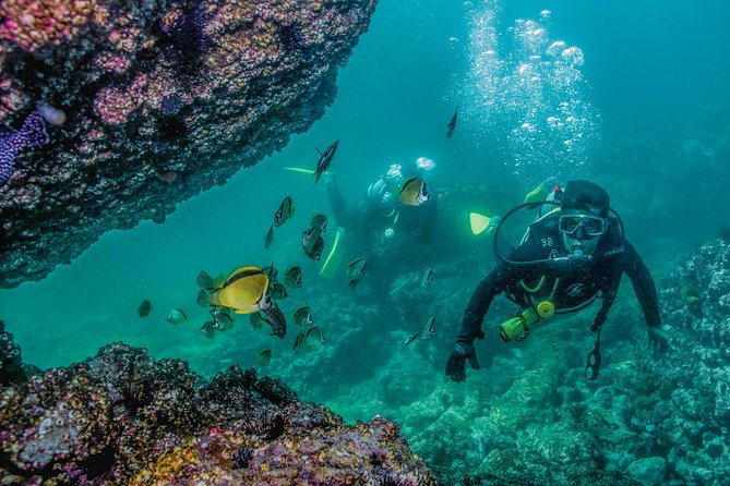 Scuba Diving with a 5-Star PADI Center in Puerto Vallarta - Boat comfort, lunch, and the land portion