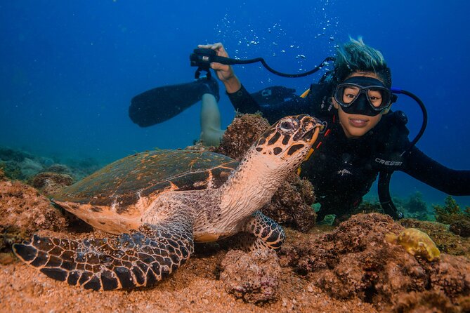 Scuba Diving with a 5-Star PADI Center in Puerto Vallarta - Who should book this Puerto Vallarta scuba trip?