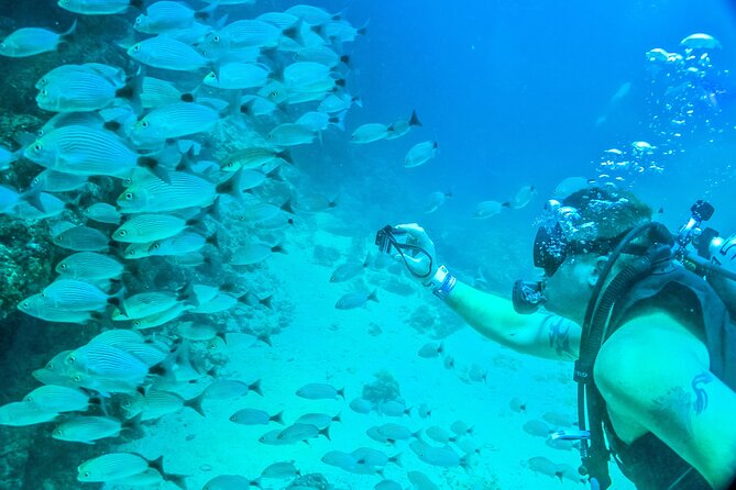 Scuba Diving with a 5-Star PADI Center in Puerto Vallarta - Meeting at Puerto Mágico at 8 a.m.