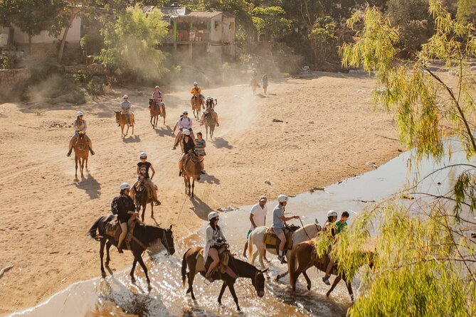 Sea Safari & Beach BBQ at secluded Pizota jungle beach - Pizota Beach is where the day settles down