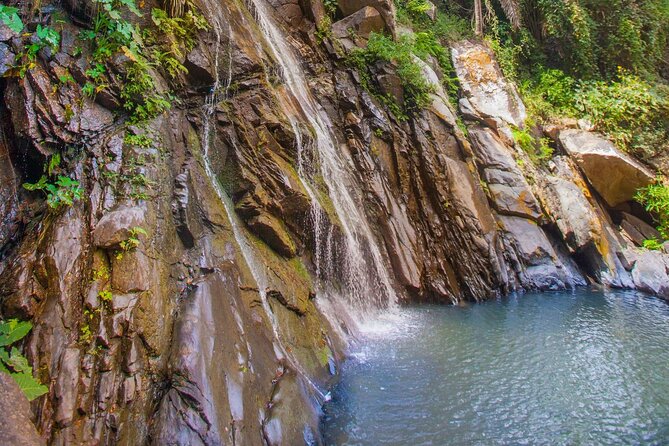 Sea Safari & Beach BBQ at secluded Pizota jungle beach - What this tour really includes, and what it does not
