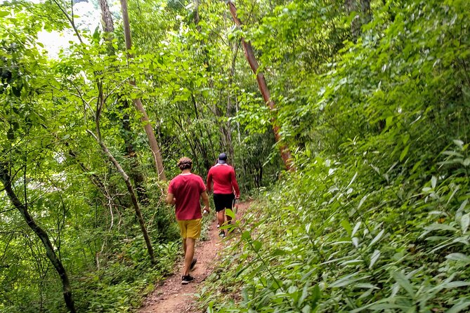 Selva y Playas Exóticas, Senderismo en Puerto Vallarta - Practical Tips Before You Go