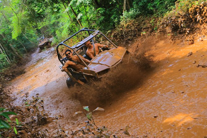 Selvatica Adventure Park ATV and Ziplines in Cancun and Riviera Maya - Ten ziplines through the treetops
