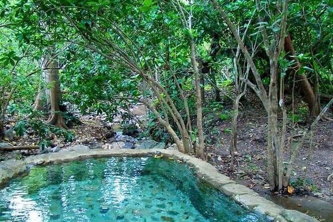 Shaded Hot Spring, Massage and Mex Grill in Puerto Vallarta - Soaking at Nuevo Ixtlan
