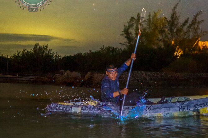 Shared Bioluminescence kayak tour in Holbox - The best time and conditions to consider