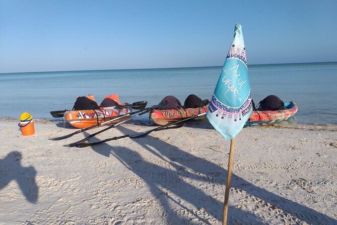 Shared mangroves kayak tour in Holbox - Timing, weather, and the practical details