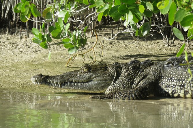 Shared mangroves kayak tour in Holbox - Who will enjoy this most