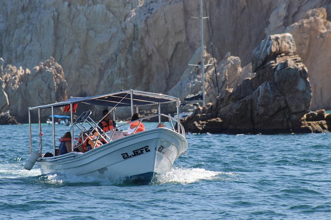 Shared ride to the arch of Cabo San Lucas - Sea lions, pelicans, and Pelican Rock
