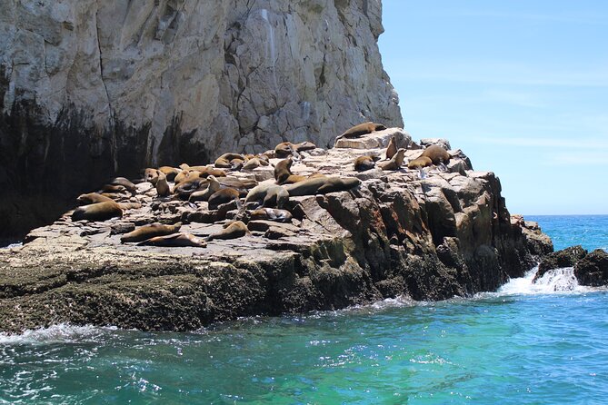 Shared Tour to the Arch of Cabo San Lucas - Photos, tips, and what you may pay extra for