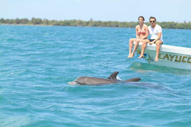 Sian Ka'an Adventure Full Day Trip to Punta Allen - Key points to know before you book