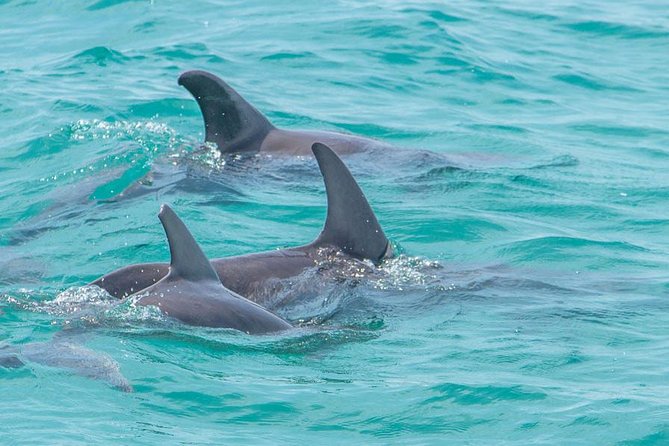 Sian Ka'an Adventure Full Day Trip to Punta Allen - Guides make the difference